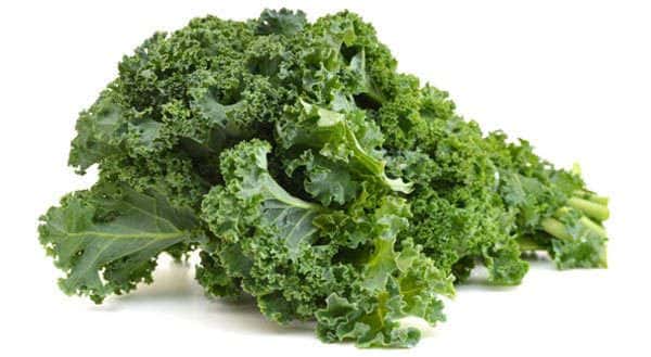propiedades-kale