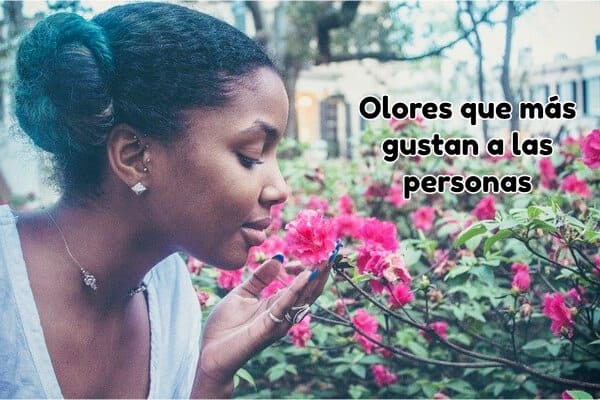 Olores que más gustan a las personas