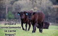 preparar correctamente la carne angus